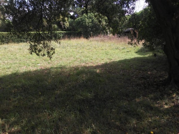 VENTA LOTE 